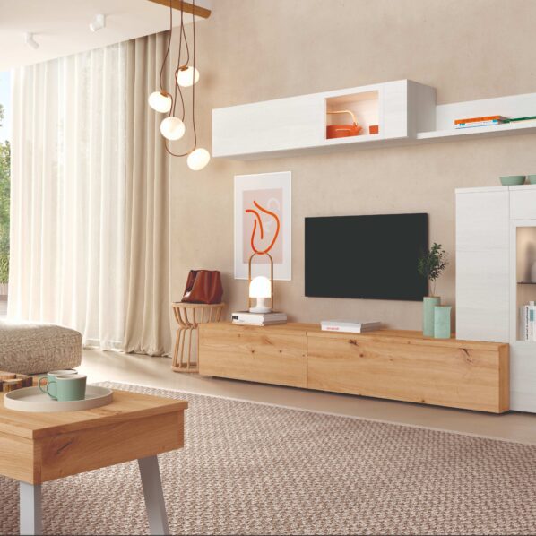 Mueble de salón funcional 305