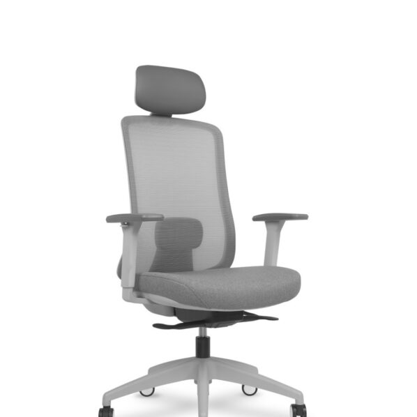 Silla oficina ergonómica